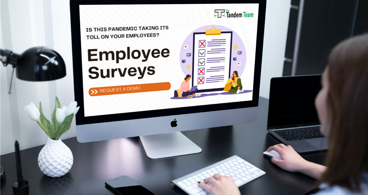 employee surveys canada, employee engagement surveys canada, employee satisfaction and engagement surveys canada