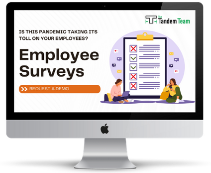Employee Satisfaction and Engagement Surveys Canada, Employee Engagement Surveys Canada, Pulse Surveys Canada, online employee surveys canada